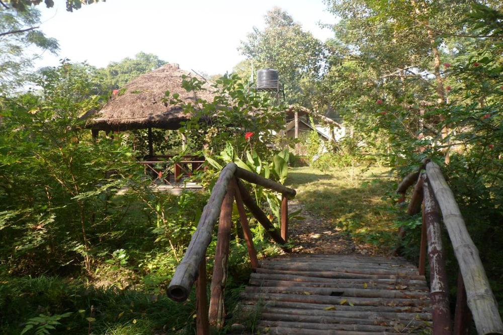 forest hideaway hotel and cottage