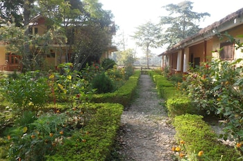 forest hideaway hotel and cottage