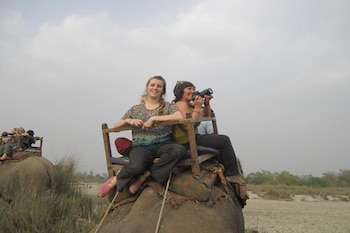 forest hideaway hotel and cottage