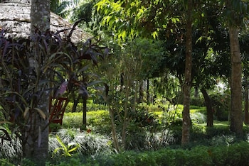 forest hideaway hotel and cottage