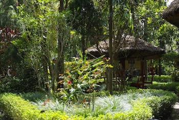 forest hideaway hotel and cottage