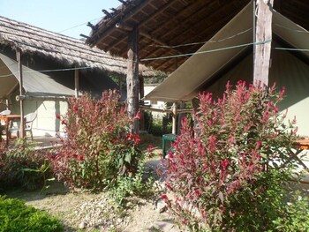 forest hideaway hotel and cottage