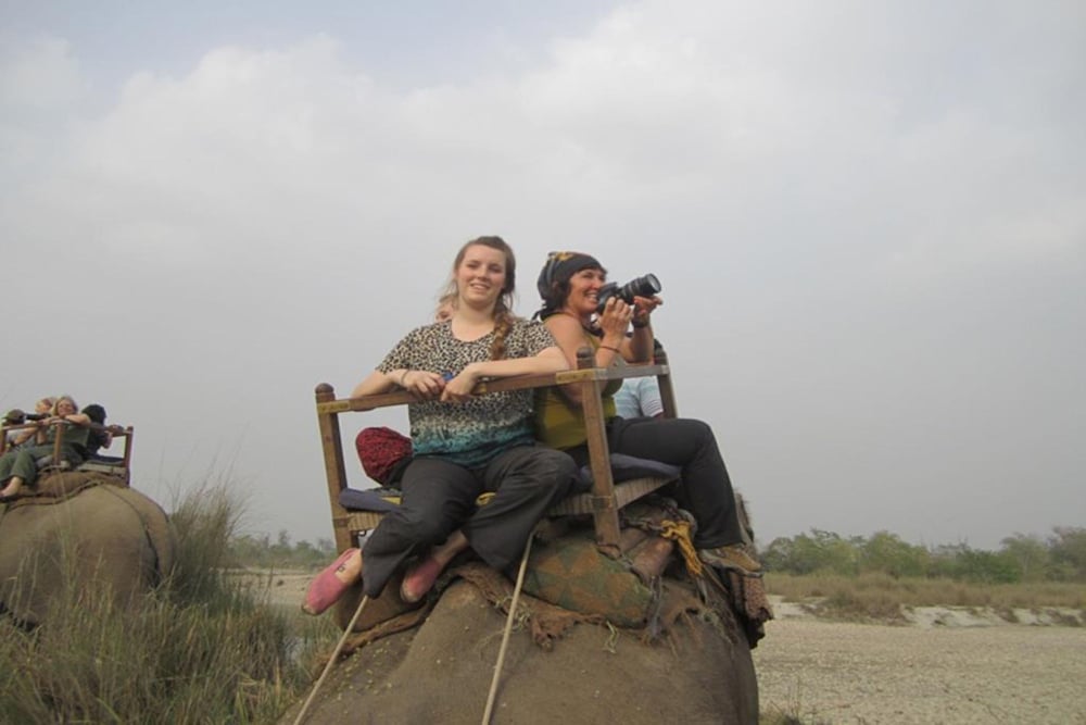 forest hideaway hotel and cottage