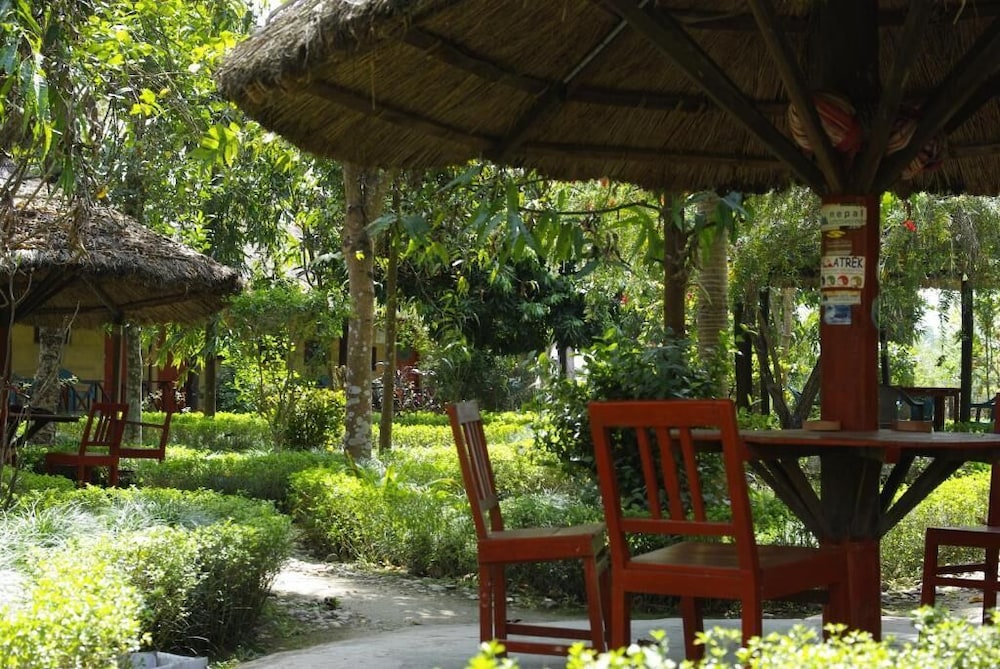 forest hideaway hotel and cottage