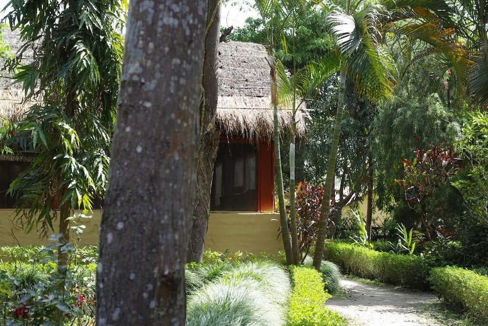 forest hideaway hotel and cottage