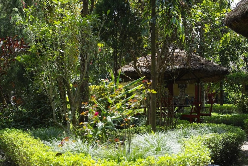 forest hideaway hotel and cottage