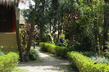 forest hideaway hotel and cottage