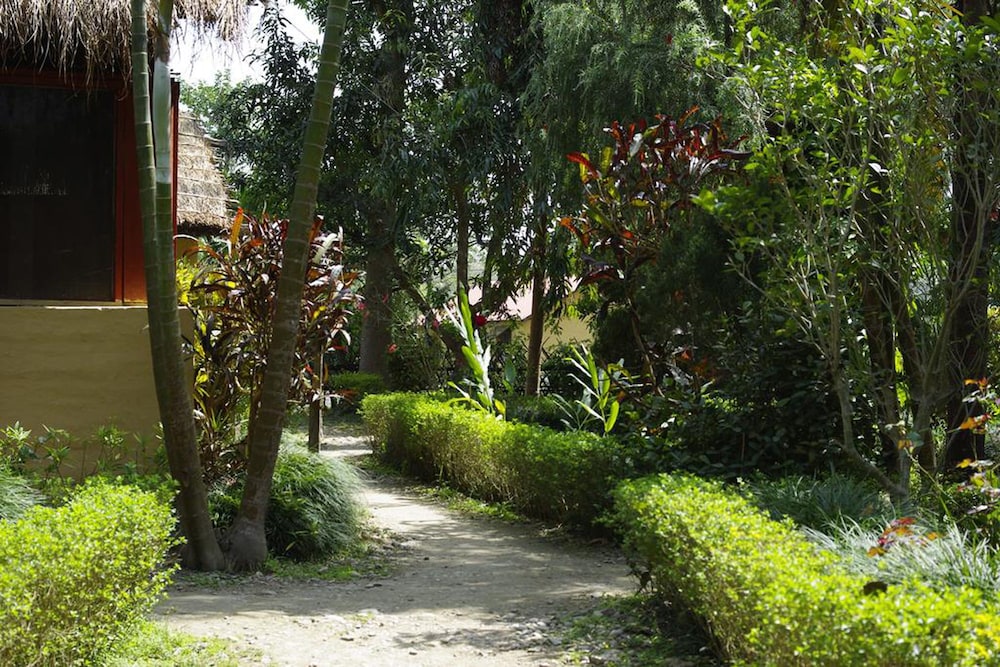 forest hideaway hotel and cottage