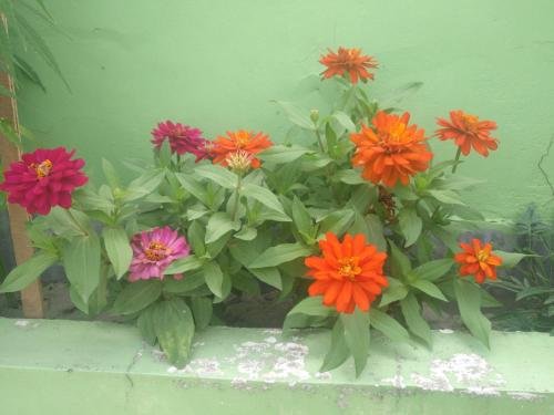 lalitpur