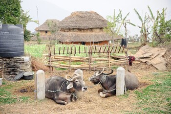 hananoie a permaculture resort