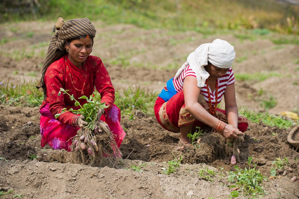 hananoie a permaculture resort