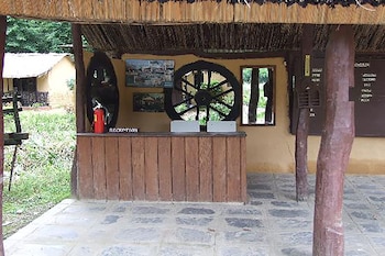 island jungle resort