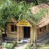 island jungle resort