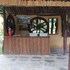 island jungle resort