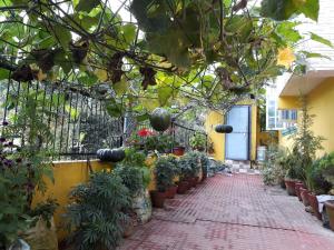 dahachok homestay