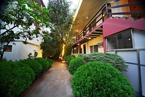 hotel thamel park