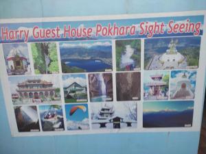 harry guest house and restaurant