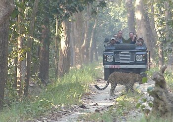 tigertops karnali lodge