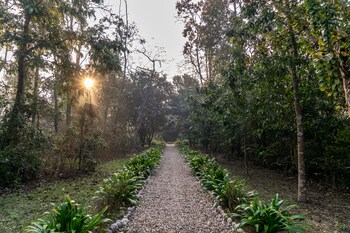 tigertops karnali lodge