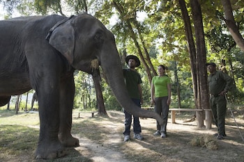 tigertops karnali lodge