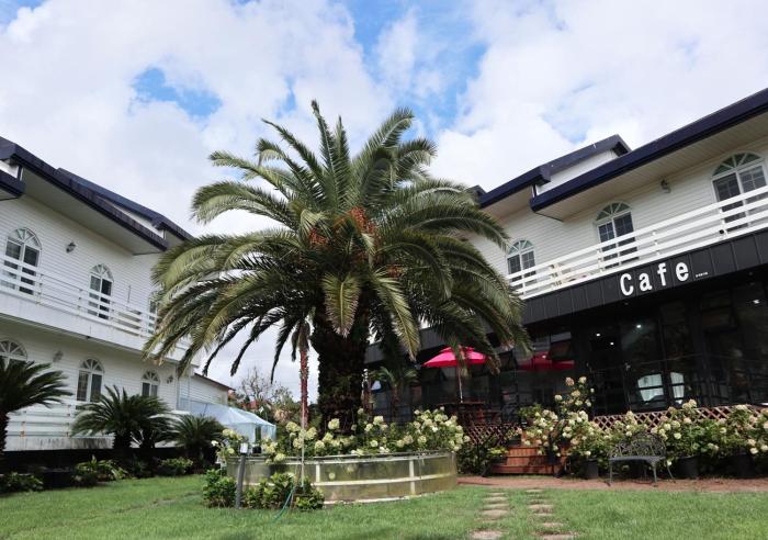 jeju resortel