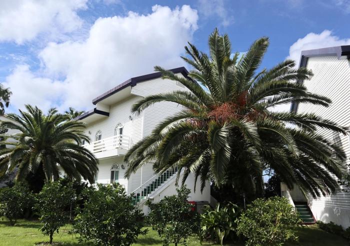 jeju resortel