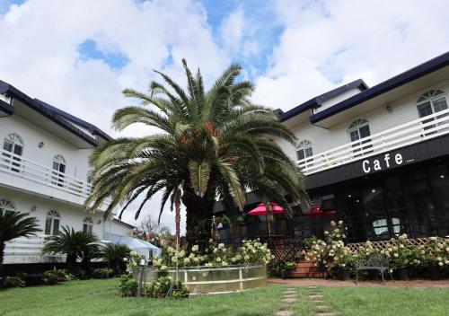 jeju resortel