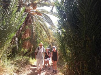 kasbah berbere ouriz