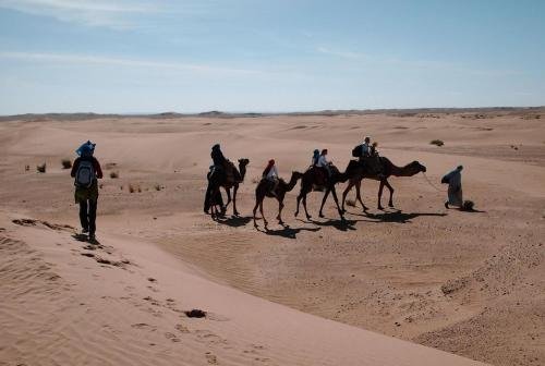 kasbah berbere ouriz