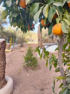 maison dhotes retour au calme