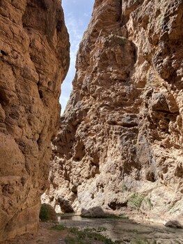 auberge miguirne chez ali