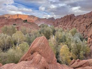 auberge miguirne chez ali