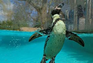 Arch Hotel,Finsbury Park>>Barnet,4 star