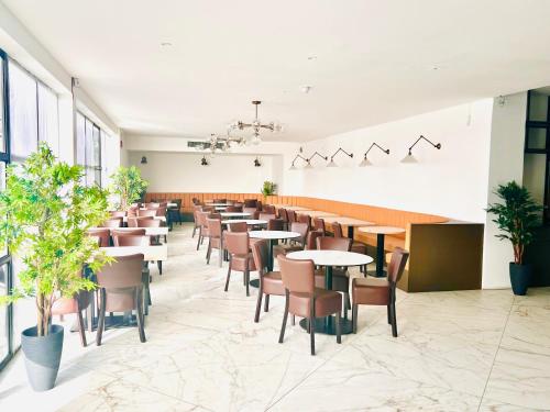 king solomon hotel