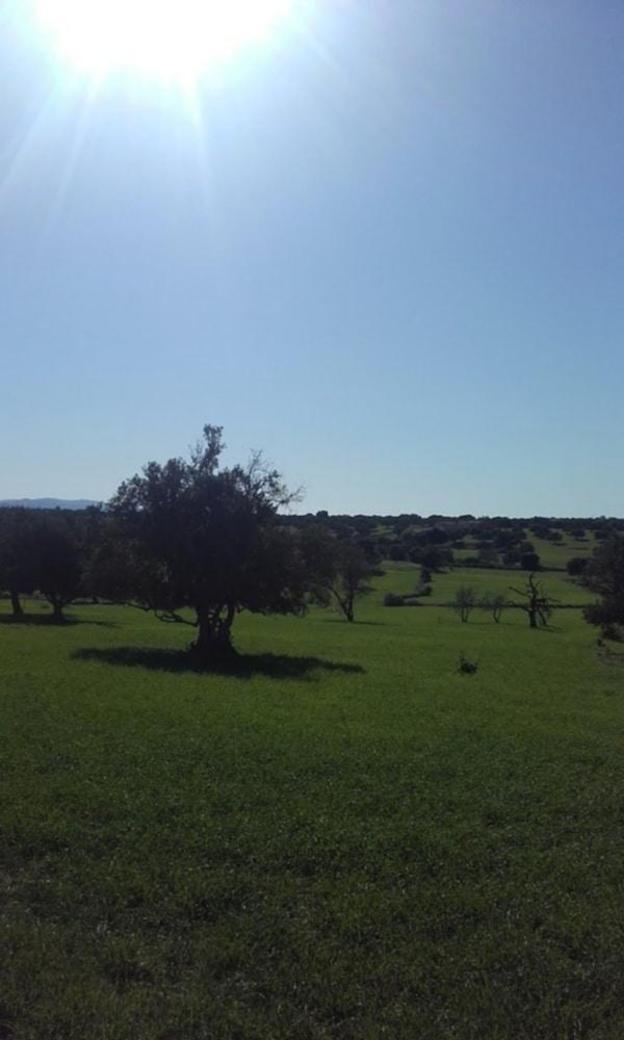 hotel riad tigmin eden