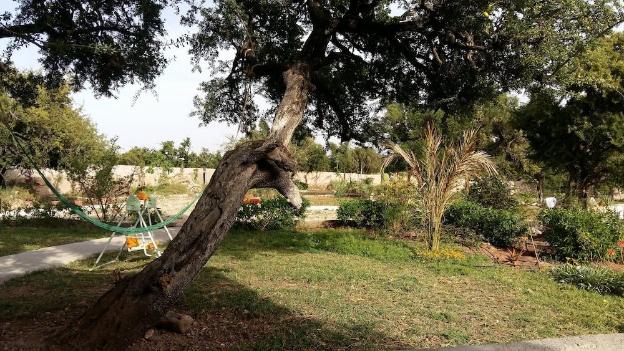 hotel riad tigmin eden