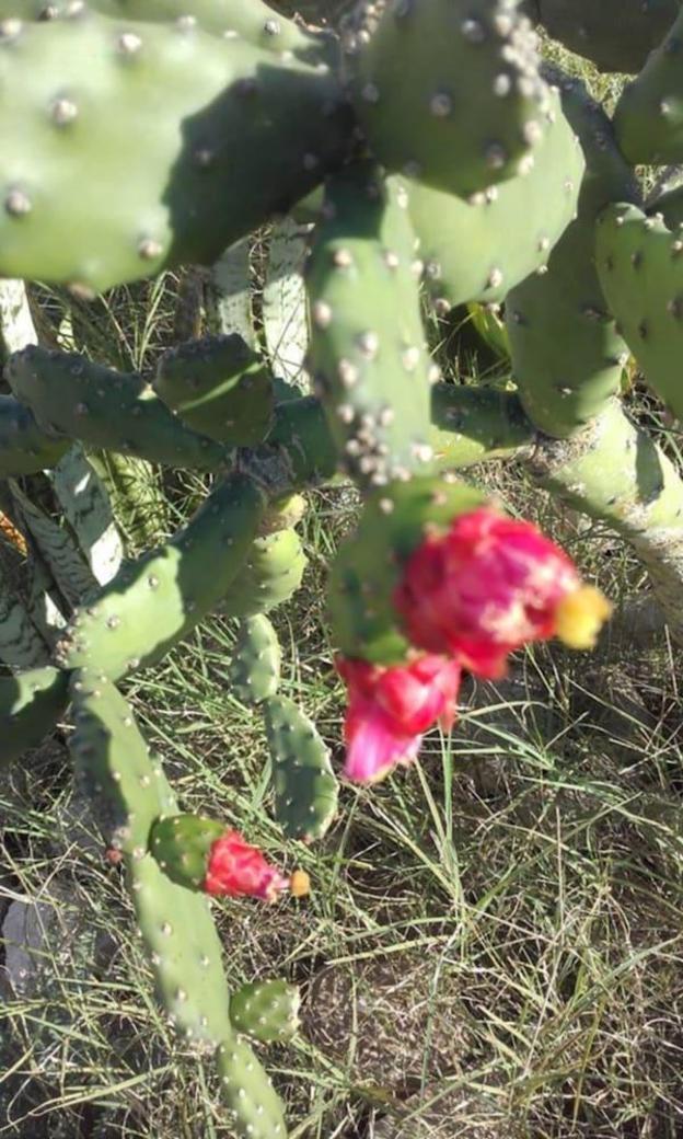 hotel riad tigmin eden