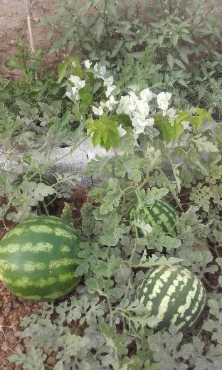 hotel riad tigmin eden