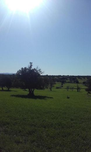 hotel riad tigmin eden