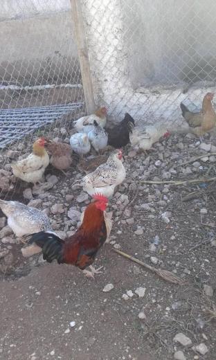 hotel riad tigmin eden