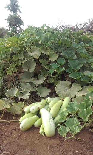 hotel riad tigmin eden