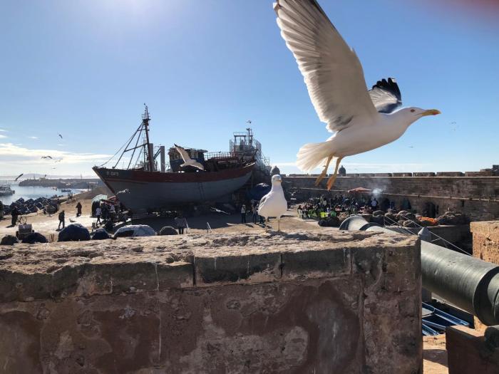 essaouira