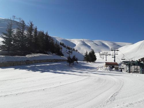 lescale du mzaar