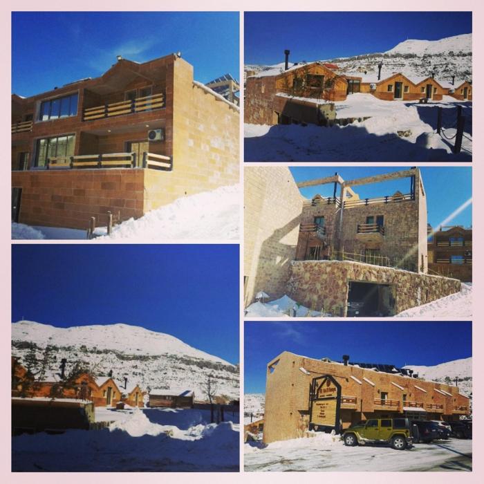 faraya
