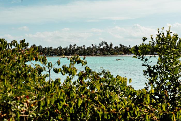 the island pongwe lodge adults only