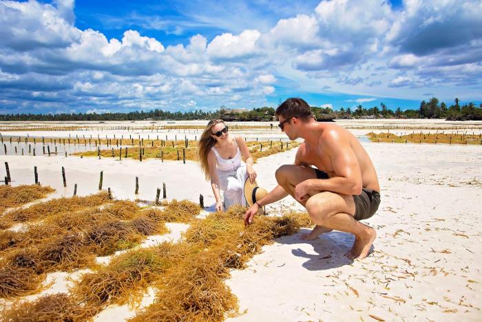 the island pongwe lodge adults only