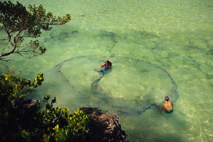 the island pongwe lodge adults only