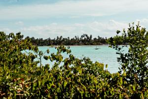 the island pongwe lodge adults only
