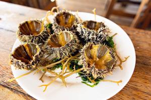 the island pongwe lodge adults only