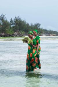 the island pongwe lodge adults only